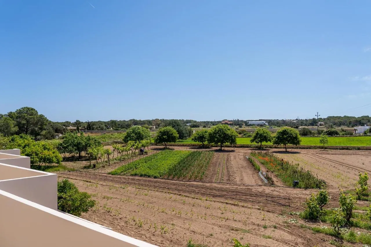 Appartamento Apartamentos Marcelino - Formentera Break Es Pujols
