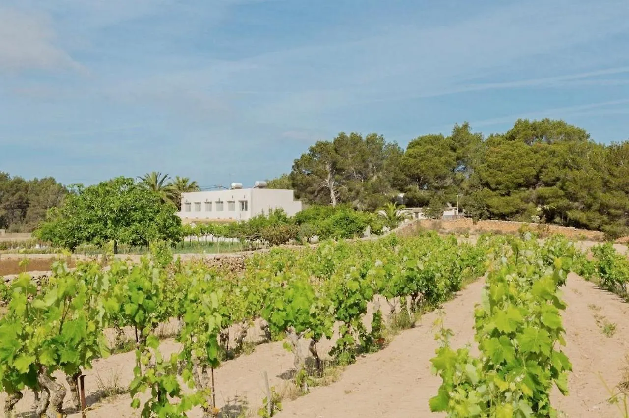 Apartamentos Marcelino - Formentera Break Es Pujols 0*,  Spagna